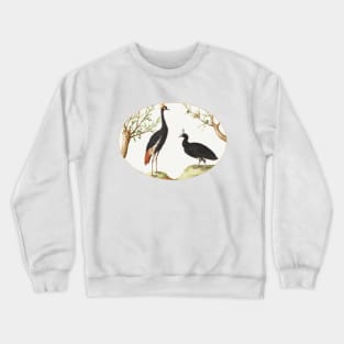 Gray Crowned Crane and Helmeted Currasow (1575–1580) Crewneck Sweatshirt